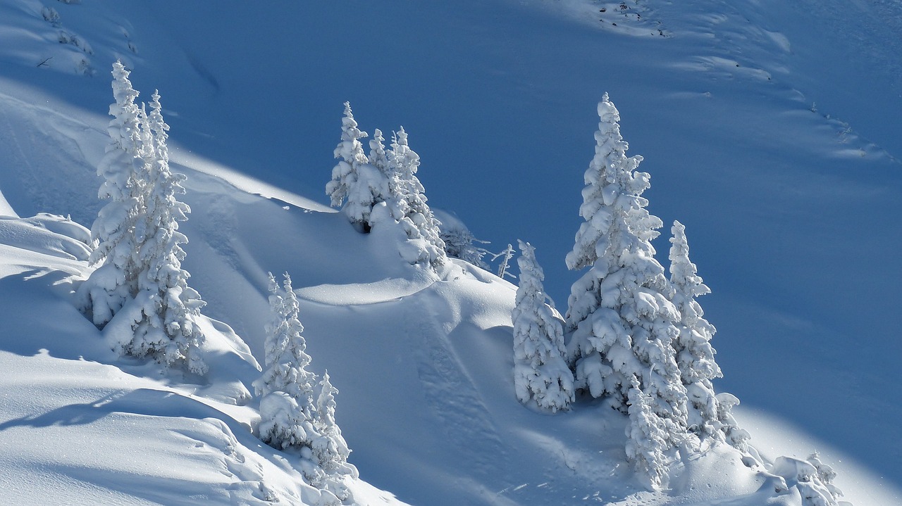 The Best Snowshoeing Trails in Aspen, Colorado